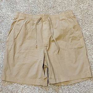 American eagle chino shorts